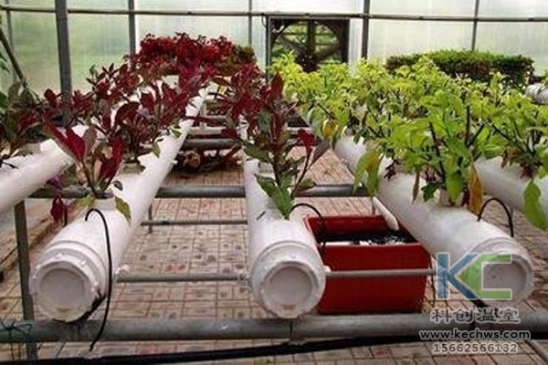 無土栽培,無土栽培技術,無土栽培設備