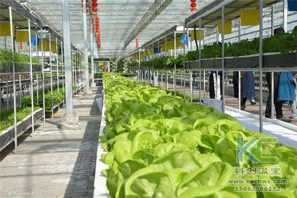 無土栽培，無土栽培技術(shù)，無土栽培設(shè)備