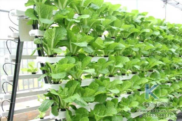 無土栽培，無土栽培技術，無土栽培設備