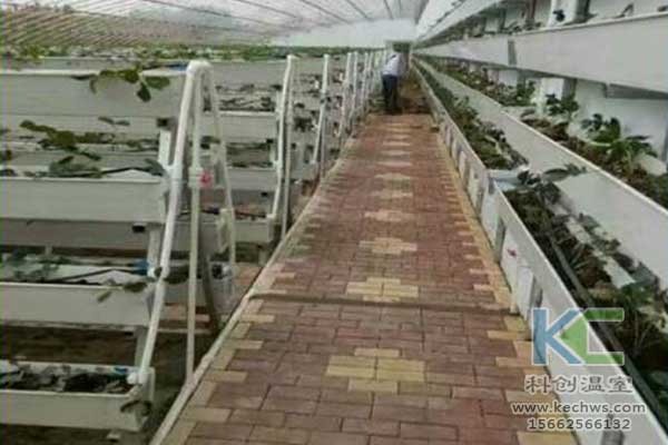 無(wú)土栽培，無(wú)土栽培技術(shù)，無(wú)土栽培設(shè)備