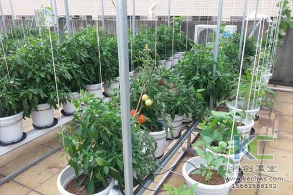 無土栽培，無土栽培技術，無土栽培設備