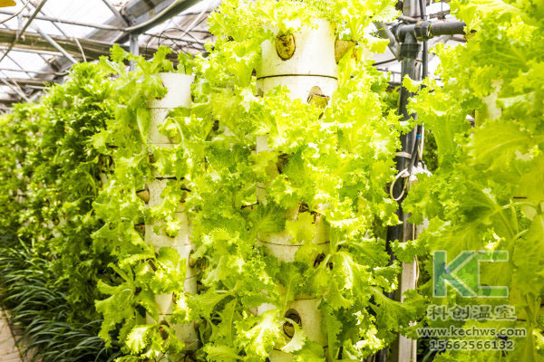 無(wú)土栽培，無(wú)土栽培技術(shù)，無(wú)土栽培設(shè)備