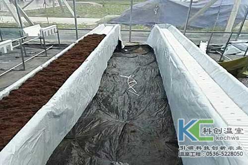 無土栽培，無土栽培技術，無土栽培設備