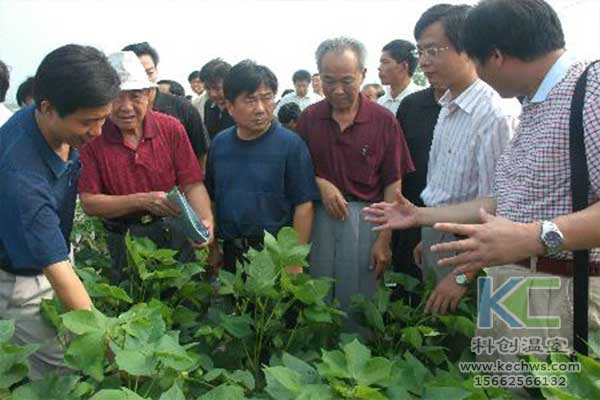 無土栽培，無土栽培技術，無土栽培設備