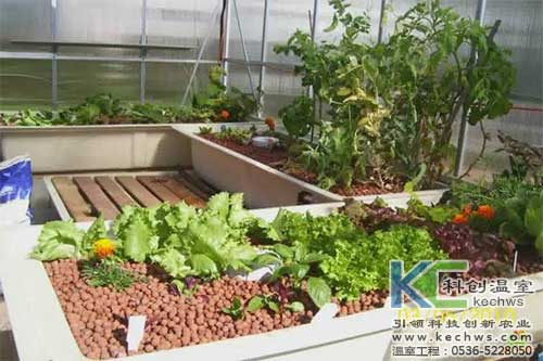 無土栽培，無土栽培技術，無土栽培設備