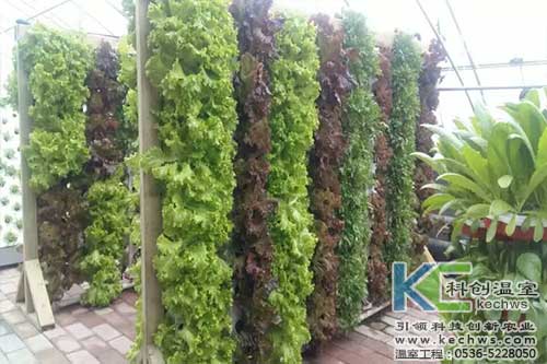 無(wú)土栽培,無(wú)土栽培設(shè)備,內(nèi)蒙古