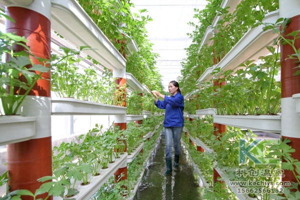 無(wú)土栽培，無(wú)土栽培技術(shù)，無(wú)土栽培設(shè)備