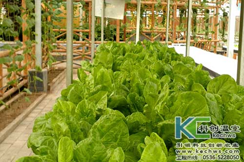 無土栽培,無土栽培技術,無土栽培設備