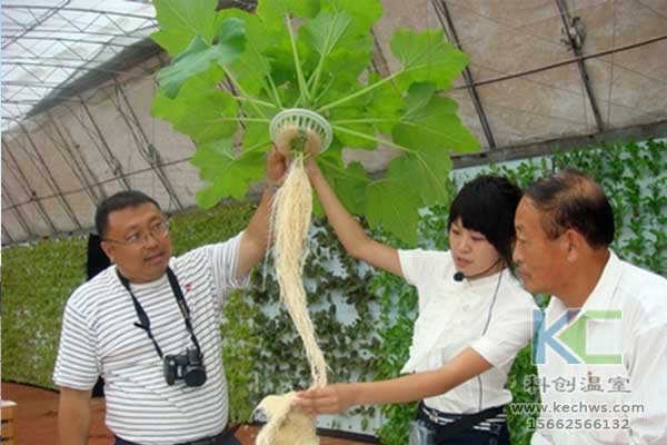 無土栽培，無土栽培技術，無土栽培設備