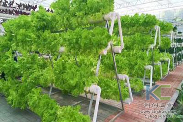 休閑農業，無土栽培技術，無土栽培，溫室大棚