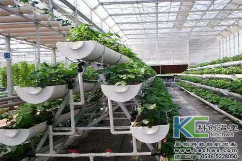 無土栽培，無土栽培技術，無土栽培設備