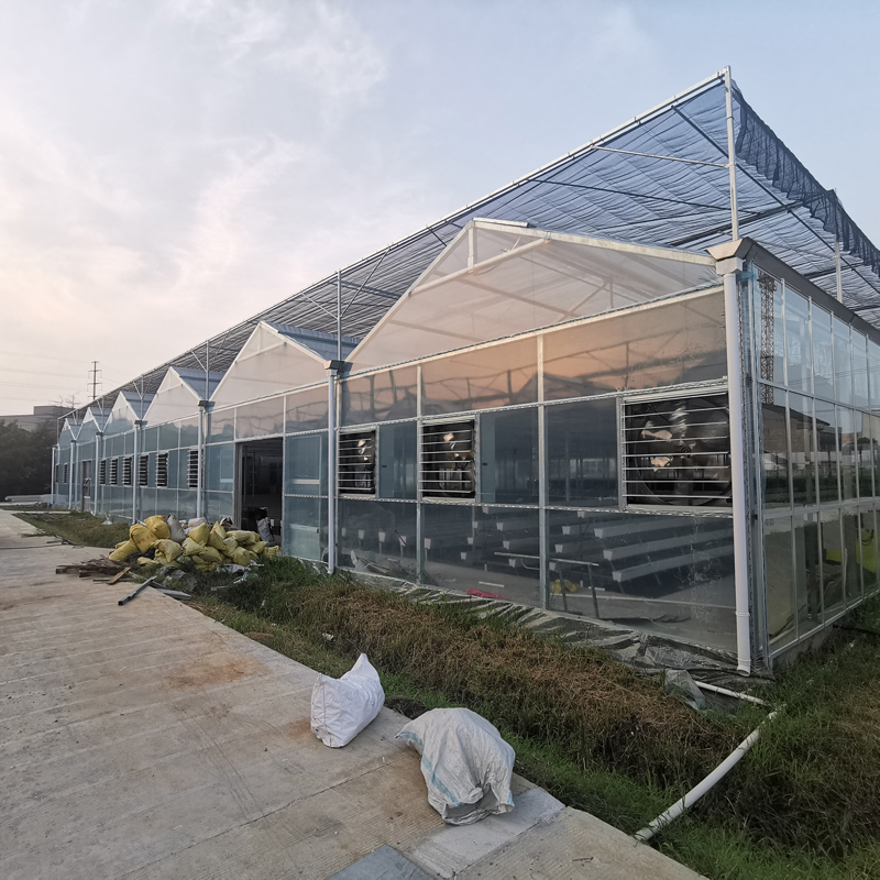 無土栽培，無土栽培技術，無土栽培設備