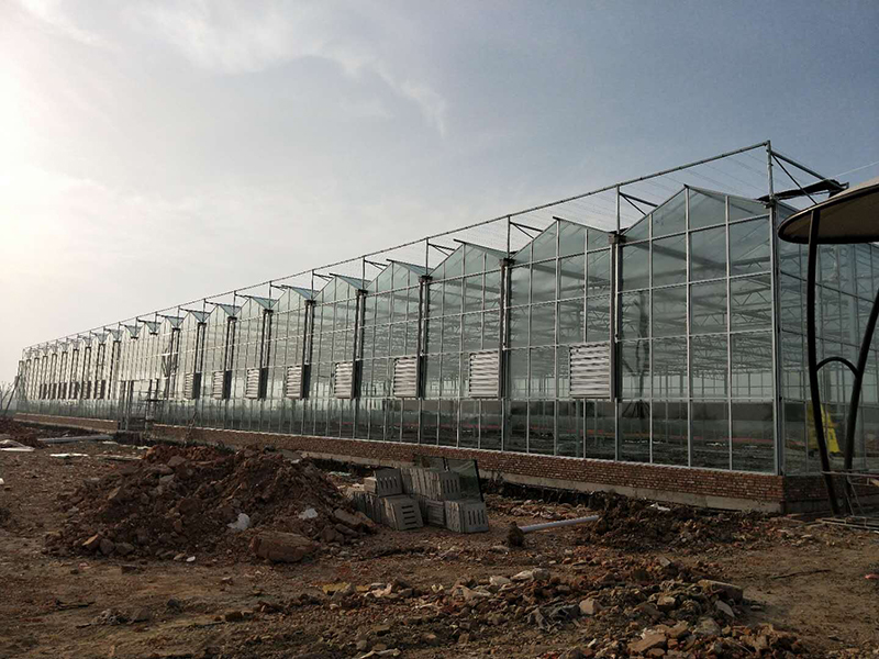 無土栽培,無土栽培技術,無土栽培設備