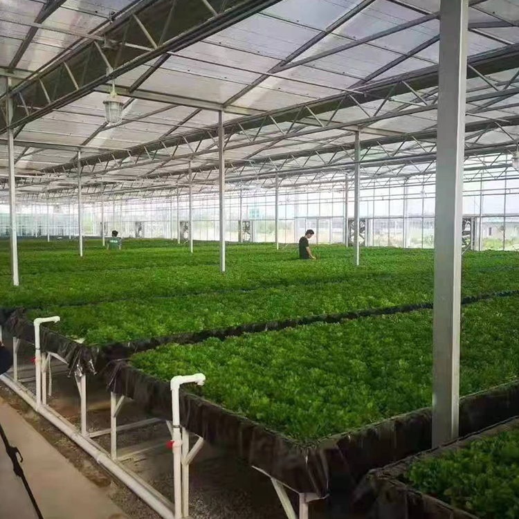 無土栽培，無土栽培技術，無土栽培設備