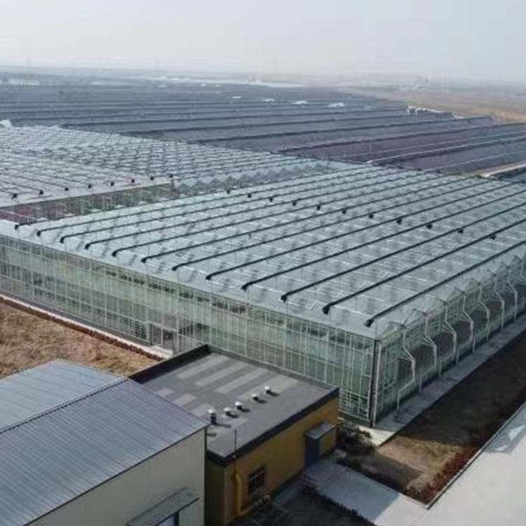 無土栽培，無土栽培技術，無土栽培設備