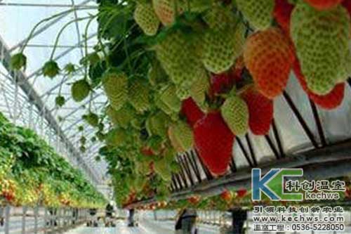 無土栽培，無土栽培技術，無土栽培設備