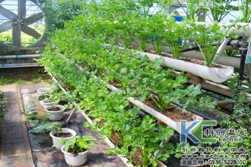 無土栽培,無土栽培技術,基質(zhì)