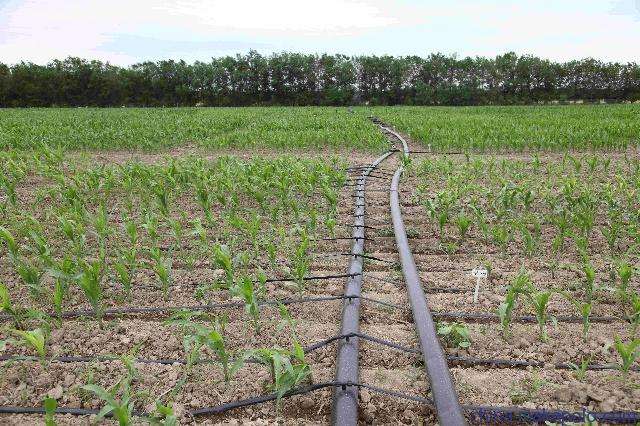 無土栽培，無土栽培技術，無土栽培設備