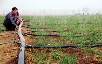 無土栽培，無土栽培技術，無土栽培設備