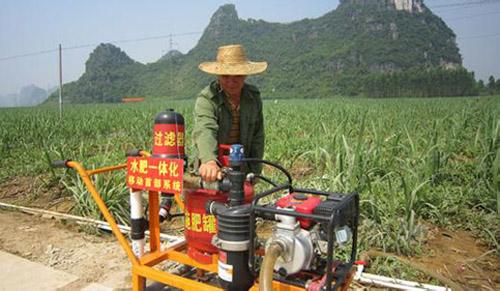 無土栽培，無土栽培技術，無土栽培設備