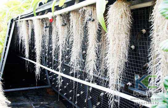 無(wú)土栽培，無(wú)土栽培技術(shù)，無(wú)土栽培設(shè)備