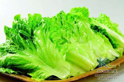 無土栽培，無土栽培技術，無土栽培設備