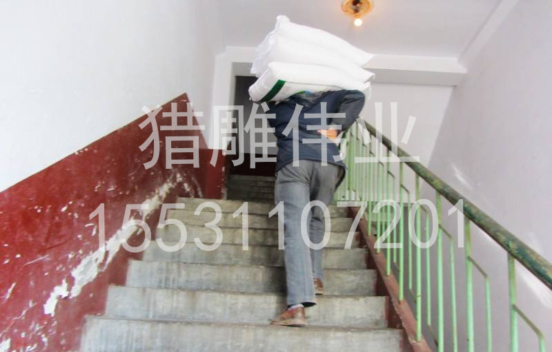 無土栽培，無土栽培技術，無土栽培設備