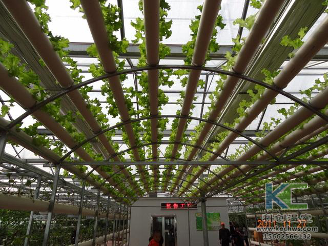 無土栽培，無土栽培技術，無土栽培設備