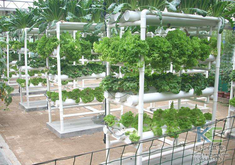 無土栽培，無土栽培技術，無土栽培設備