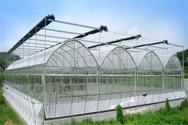 無土栽培,無土栽培技術,無土栽培設備