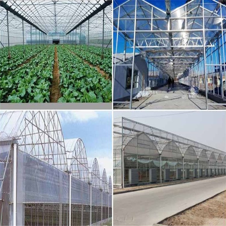 無土栽培,無土栽培技術(shù),無土栽培設(shè)備