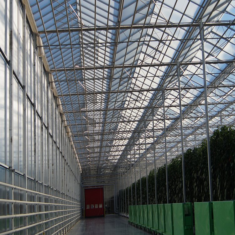 無土栽培,無土栽培技術(shù),無土栽培設(shè)備