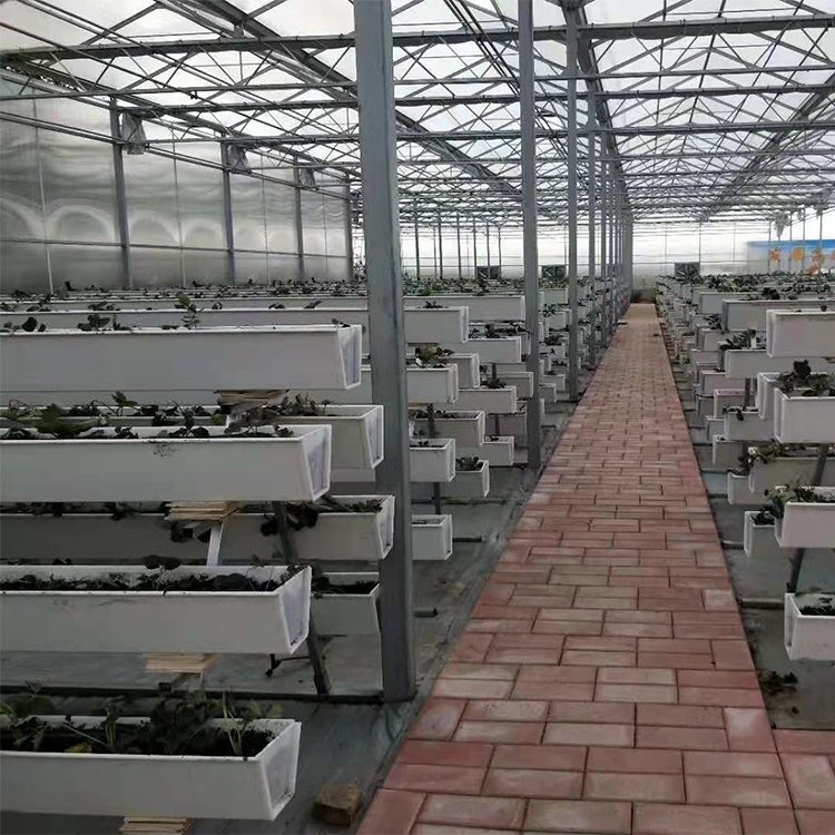 無土栽培,無土栽培技術(shù),無土栽培設(shè)備