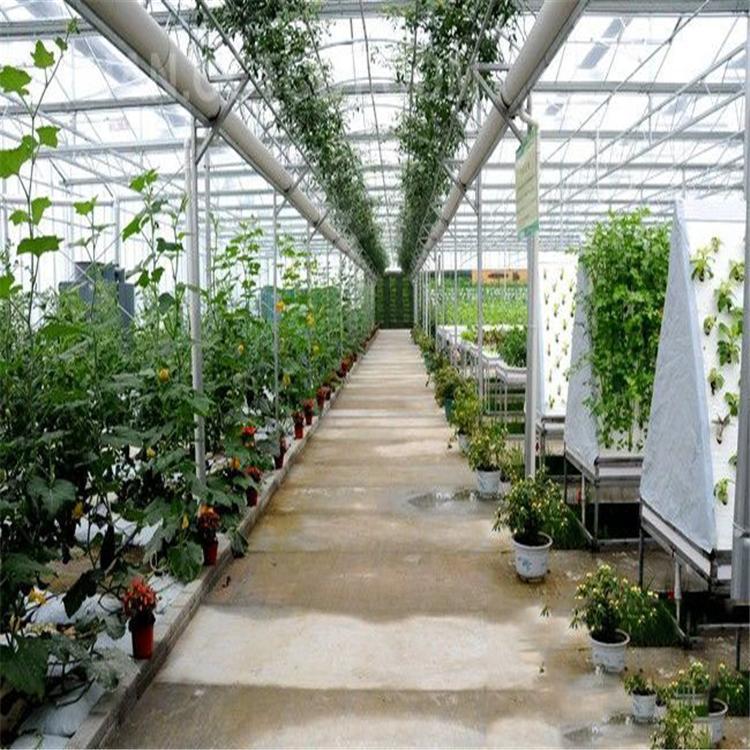 無土栽培,無土栽培技術,無土栽培設備