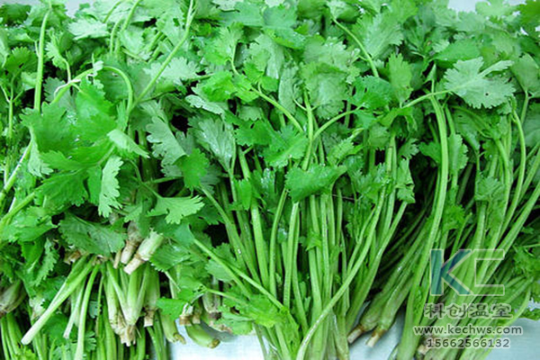 無土栽培，無土栽培技術，無土栽培設備