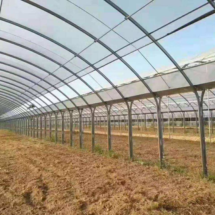 無(wú)土栽培,無(wú)土栽培技術(shù),無(wú)土栽培設(shè)備