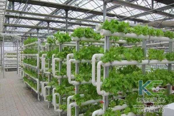 無土栽培，無土栽培技術，無土栽培設備