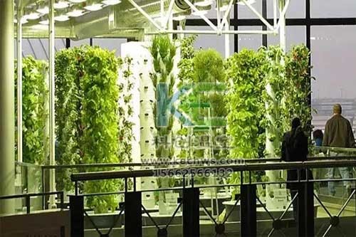 無土栽培，無土栽培技術，無土栽培設備