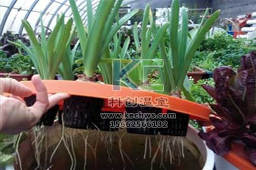 無土栽培，無土栽培技術，無土栽培設備