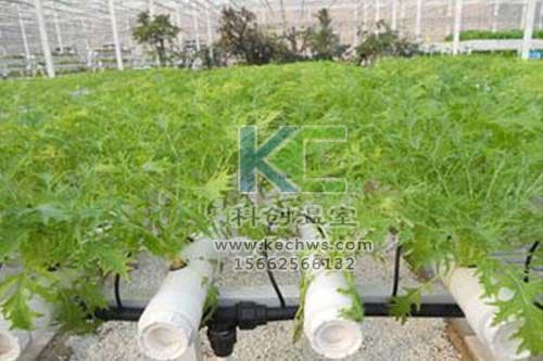 無土栽培，無土栽培技術，無土栽培設備