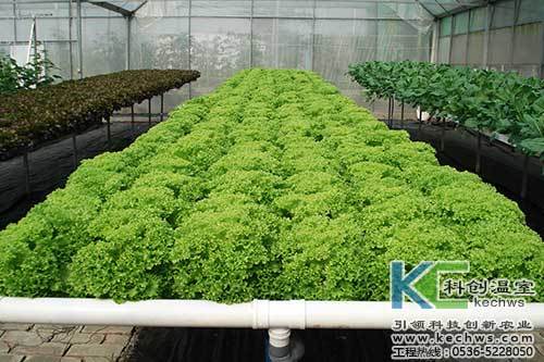 無土栽培，無土栽培技術，無土栽培設備