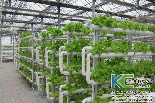 無(wú)土栽培，無(wú)土栽培技術(shù)，無(wú)土栽培設(shè)備