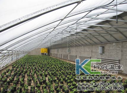 無土栽培，無土栽培技術(shù)，無土栽培設(shè)備
