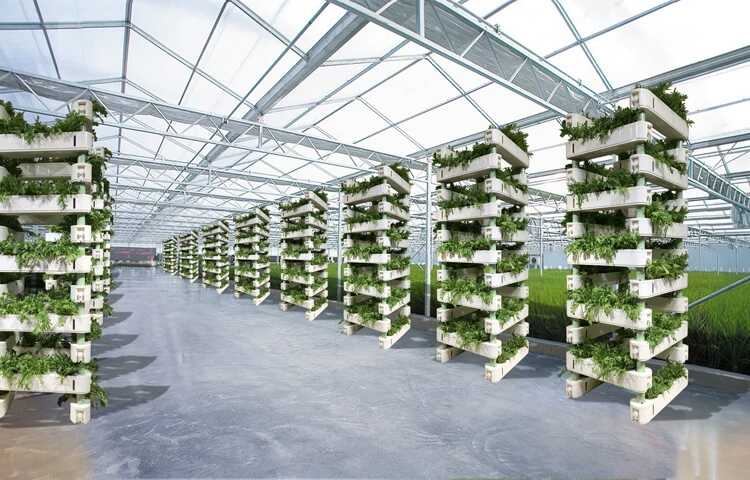 無土栽培，無土栽培技術，無土栽培設備