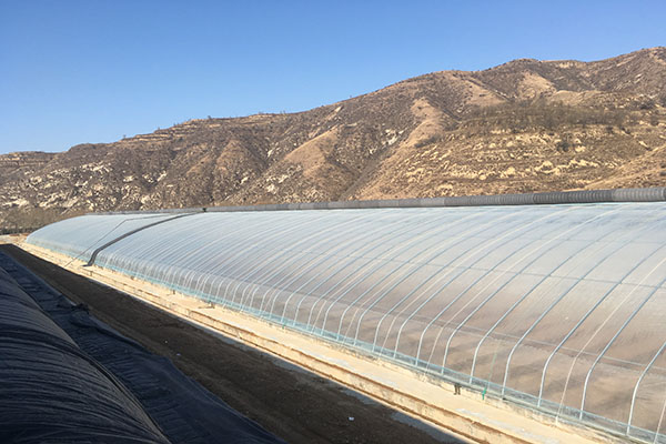 無土栽培，無土栽培技術，無土栽培設備