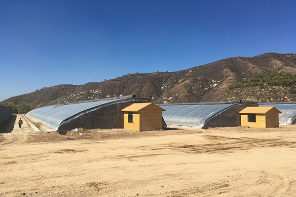 無土栽培，無土栽培技術，無土栽培設備