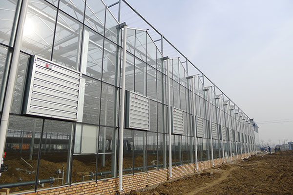 無土栽培，無土栽培技術，無土栽培設備