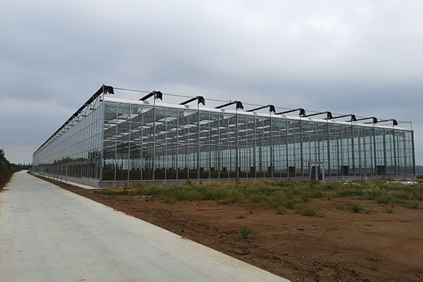 無土栽培,無土栽培技術(shù),無土栽培設(shè)備