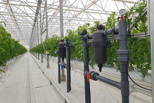 無(wú)土栽培,無(wú)土栽培技術(shù),無(wú)土栽培設(shè)備