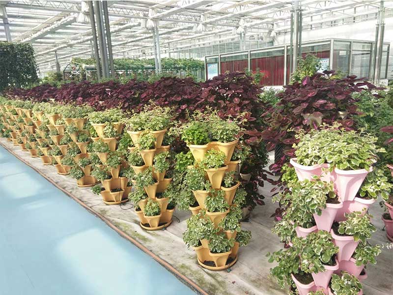 無土栽培，無土栽培技術(shù)，無土栽培設(shè)備